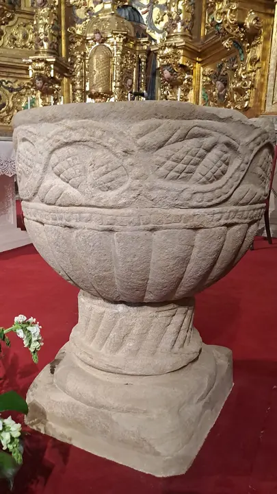 FIESTA DE SAN ANTÓN EN CANICOSA (10)