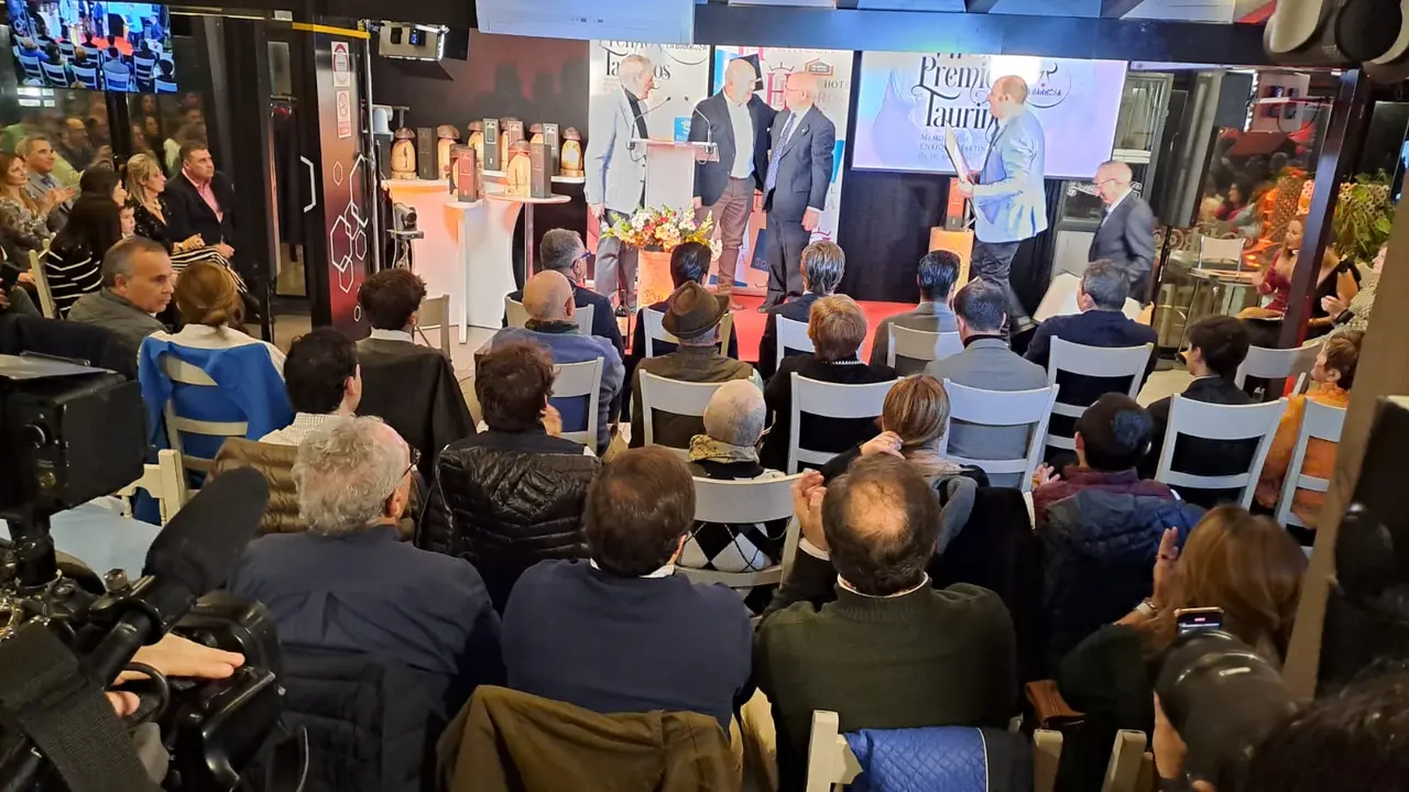 VII PREMIOS TARINOS LA BARROSA (8)