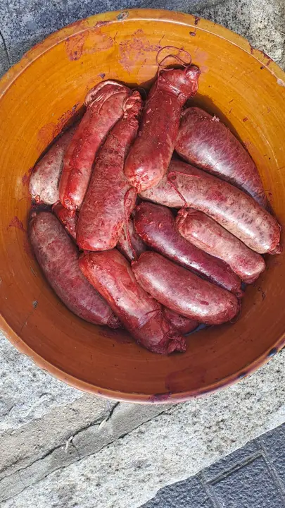 Matanza en Navaleno  (10)