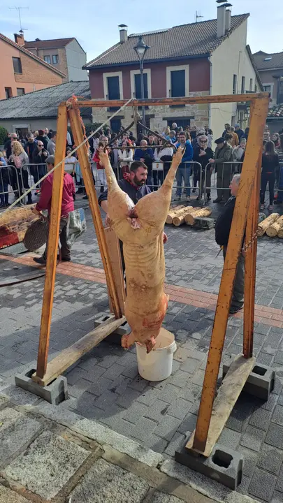 Matanza en Navaleno  (13)