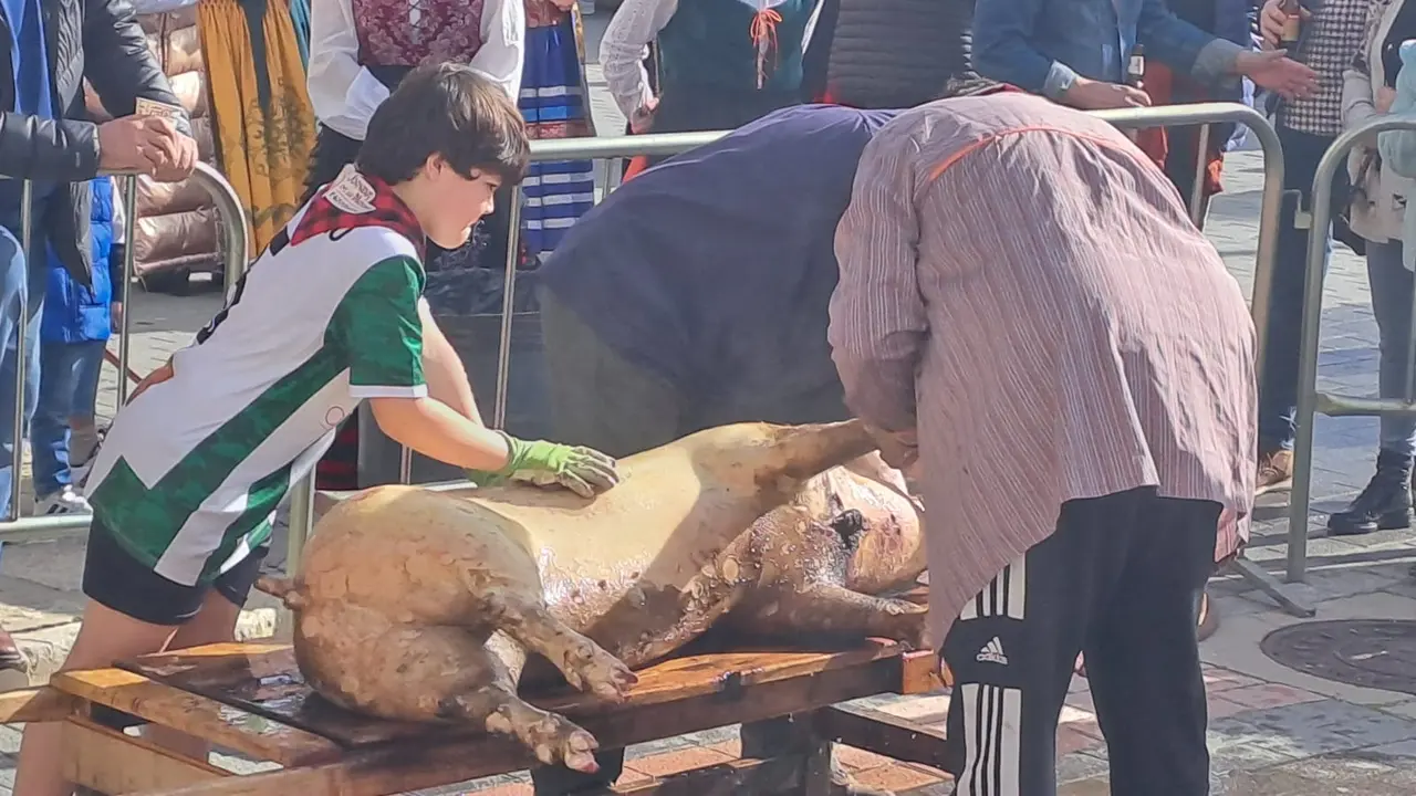 Matanza en Navaleno  (17)