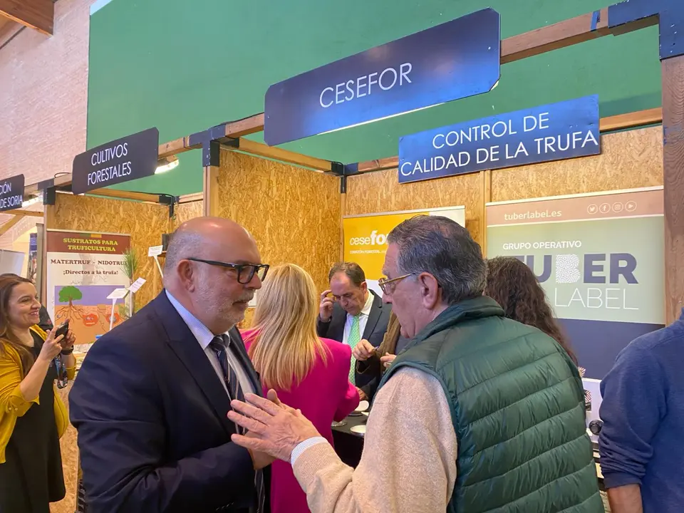 FERIA DE LA TRUFA ABEJAR (12)