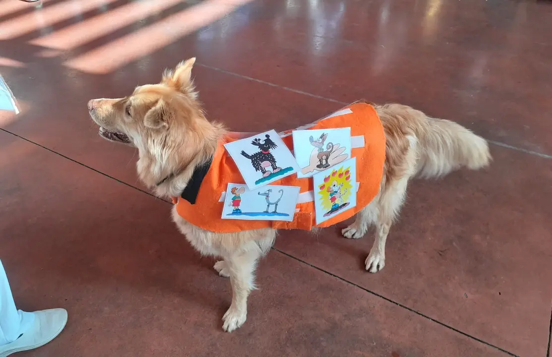 Comprensi&oacute;n lectora (2)