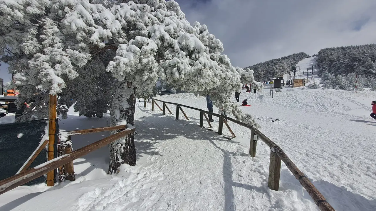 punto de nieve santa ines ok (3)