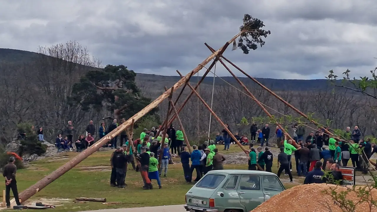 PINGADA DEL MAYO EN COVALEDA 2024 (15)