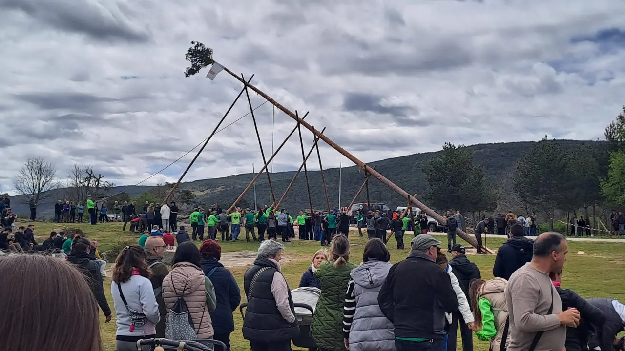 PINGADA DEL MAYO EN COVALEDA 2024 (22)