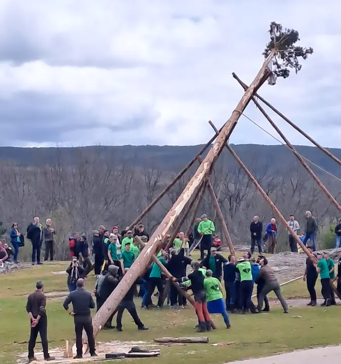 PINGADA DEL MAYO EN COVALEDA 2024 (26)