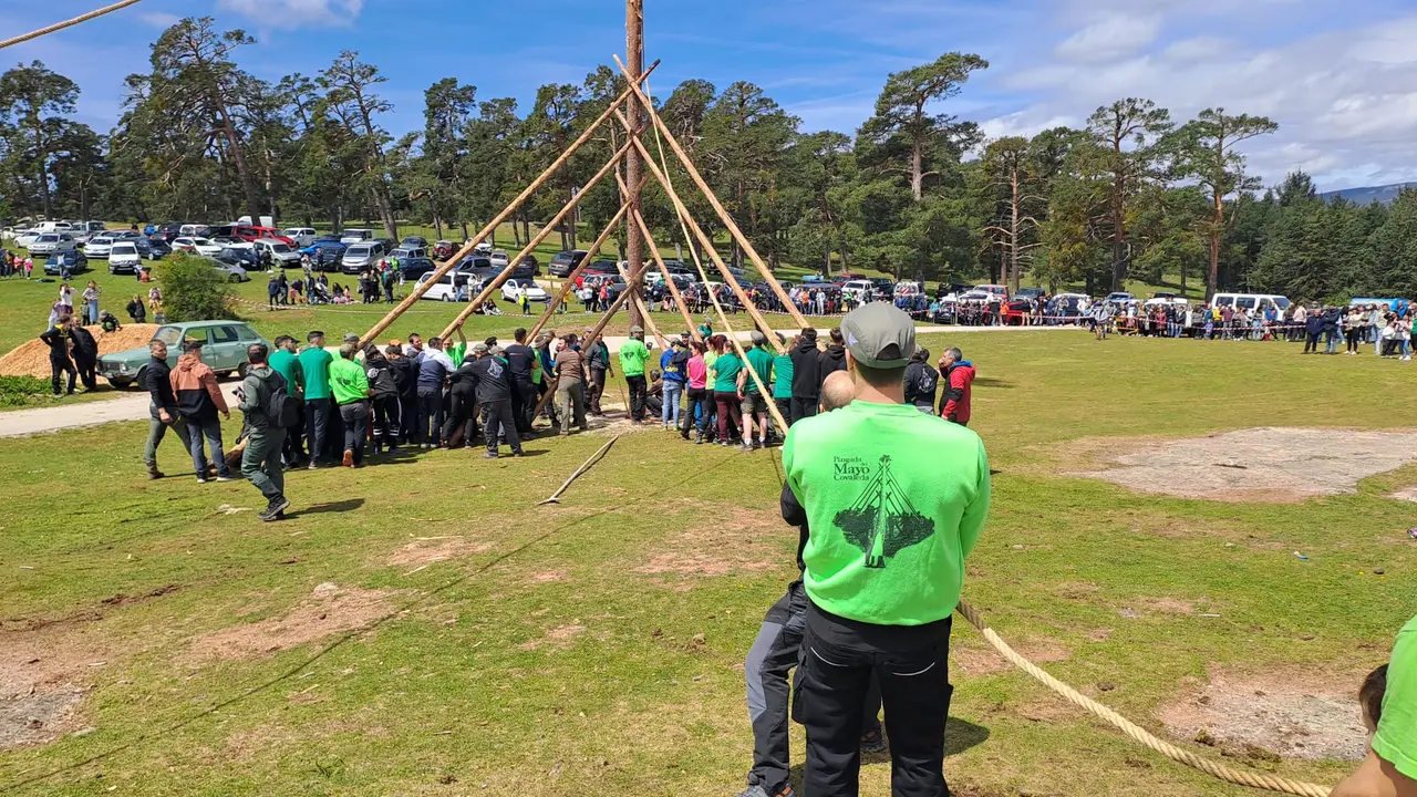 PINGADA DEL MAYO EN COVALEDA 2024 (39)