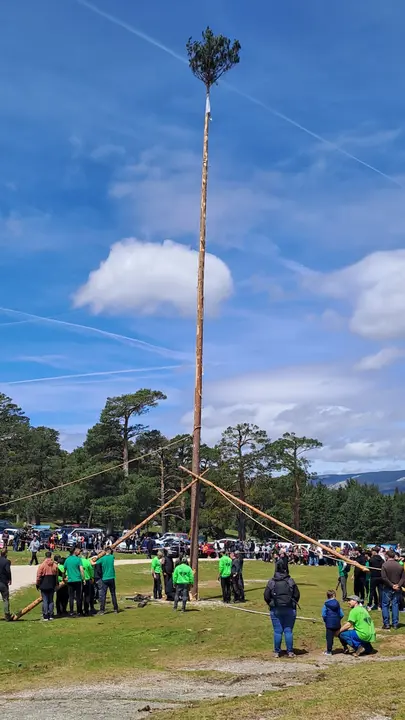 PINGADA DEL MAYO EN COVALEDA 2024 (40)