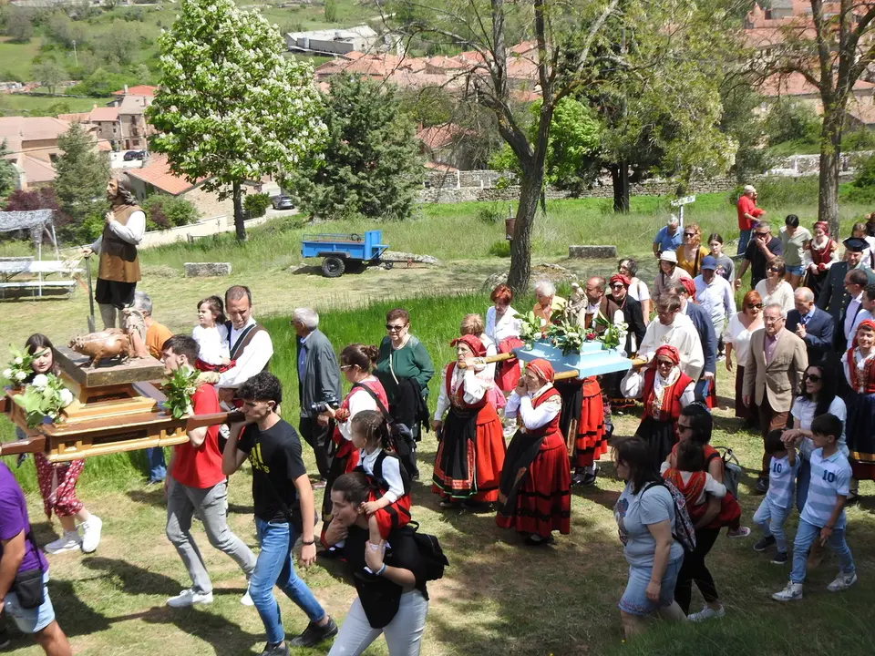 ROMERIA LA MUELA (39)