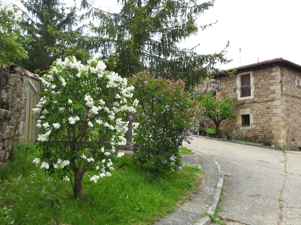ENCUENTROS EN MOLINOS DE DUERO (5)