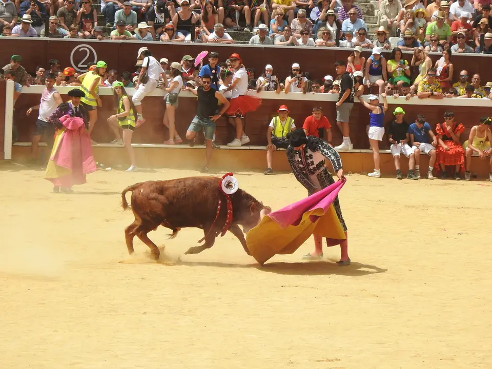 VIERNES DE TOROS EN SORIA (18)