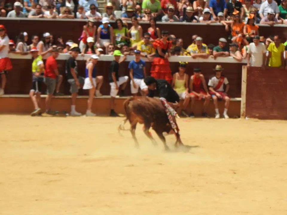 VIERNES DE TOROS EN SORIA (24)