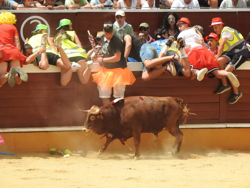 VIERNES DE TOROS EN SORIA (27)