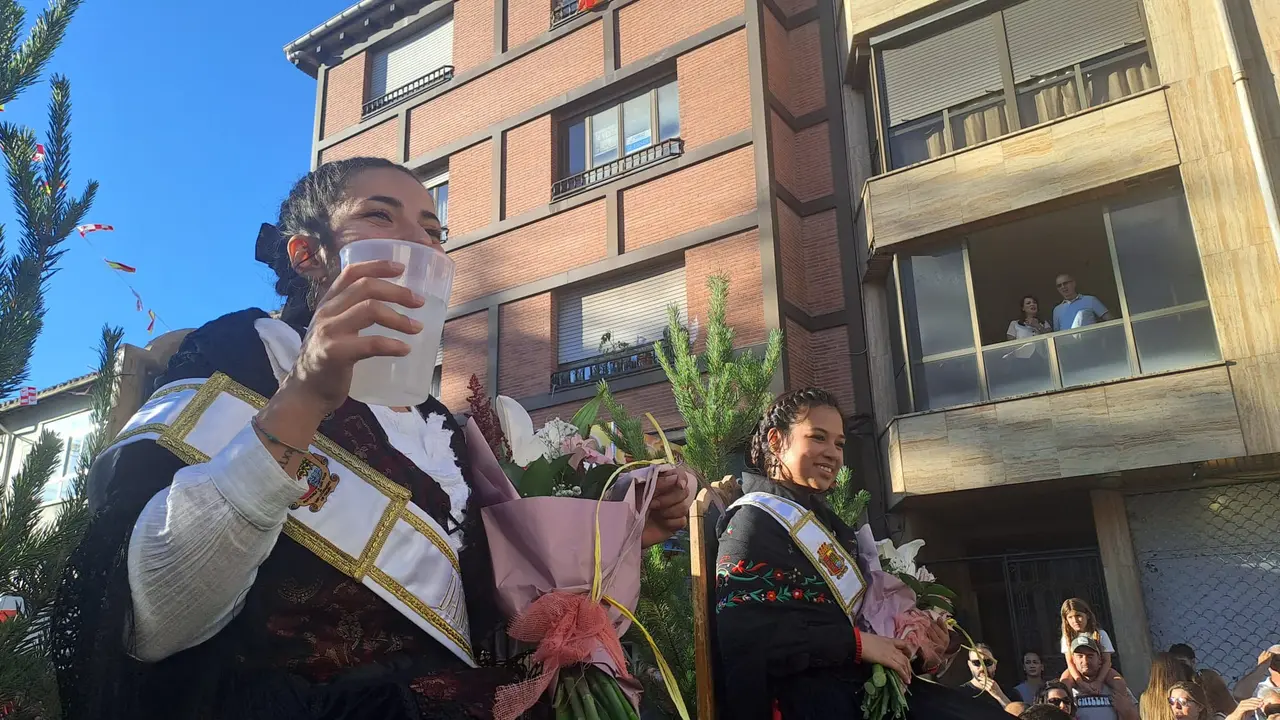 CARROZAS DE LAS FIESTAS (23)