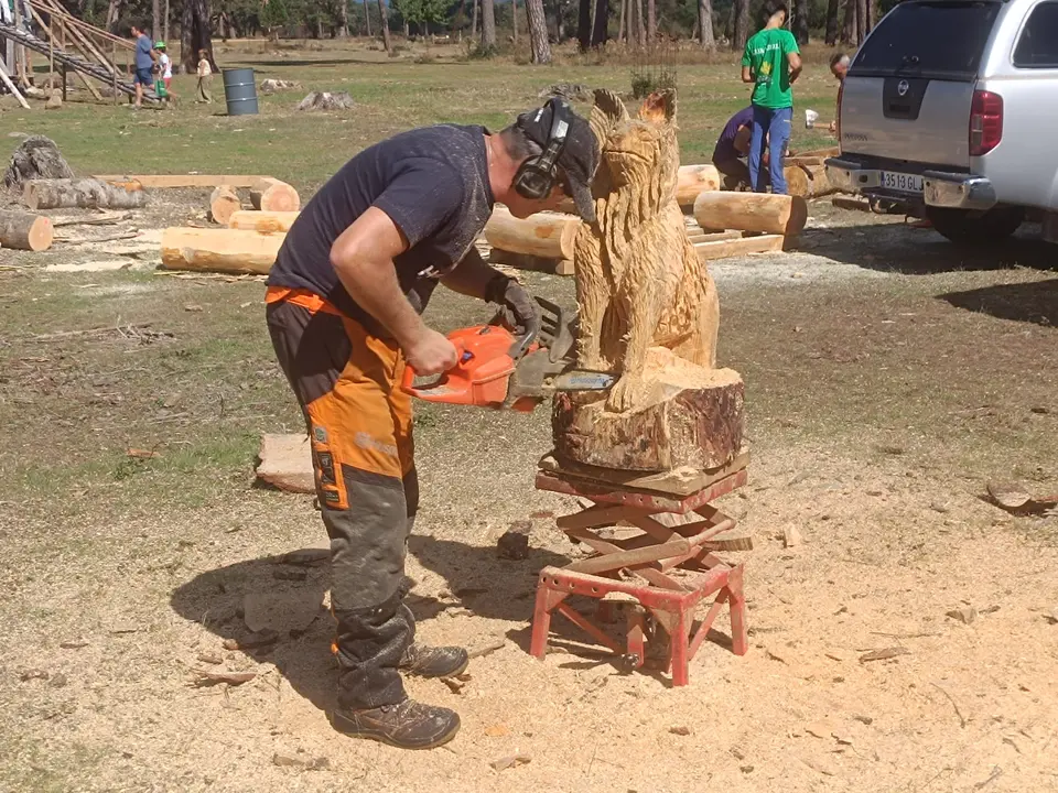 FERIA GANADERA VINUESA (3)