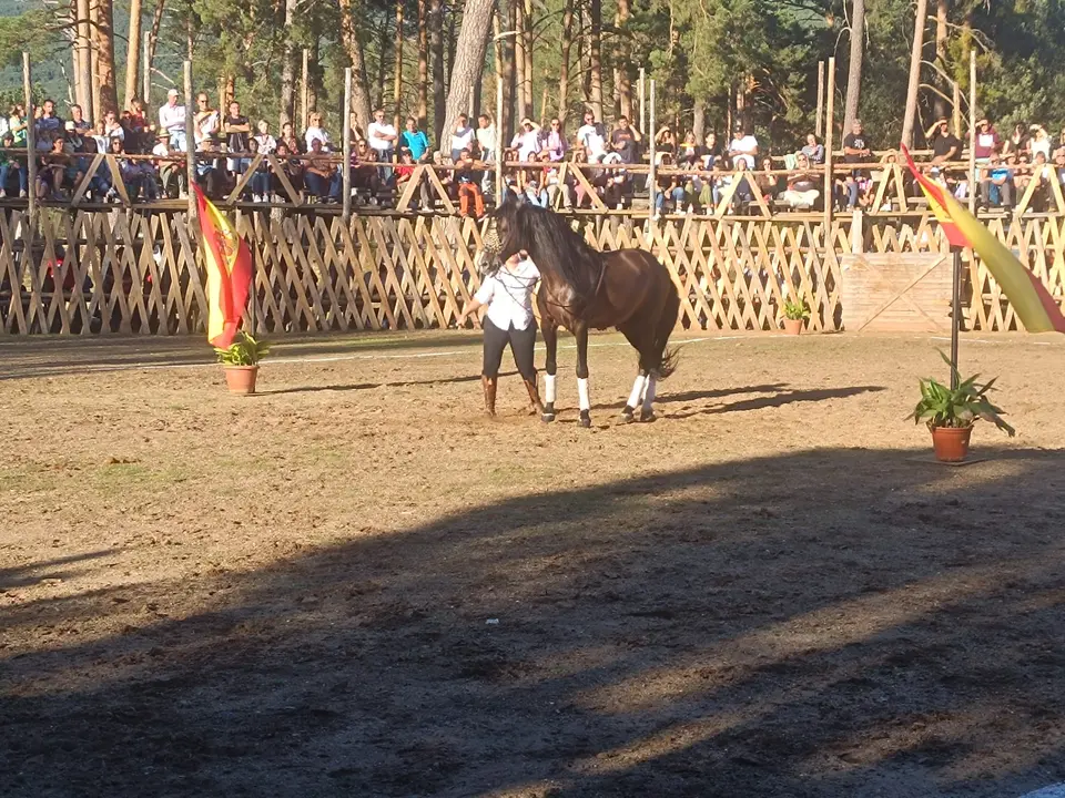 FERIA GANADERA VINUESA (5)