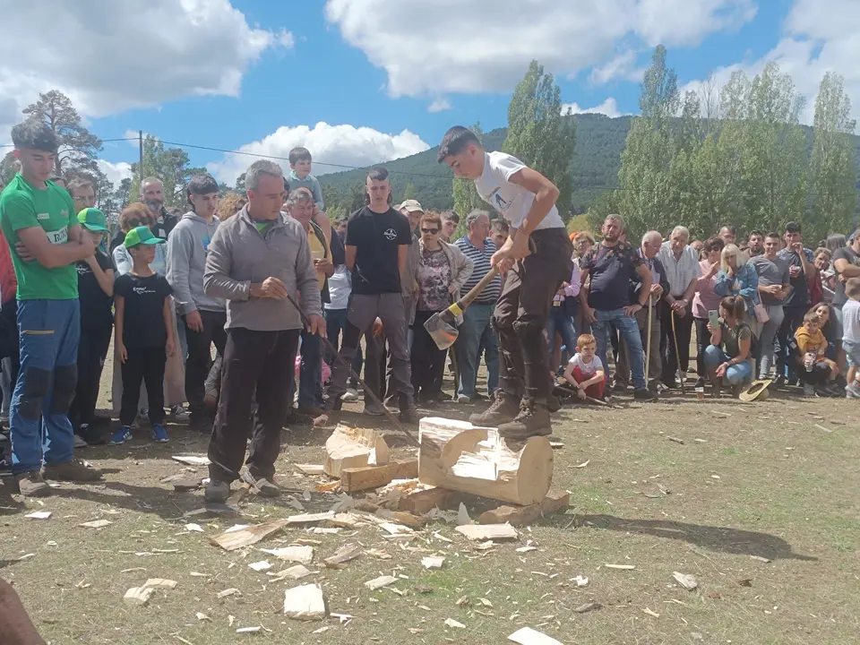 FERIA GANADERA VINUESA (8)