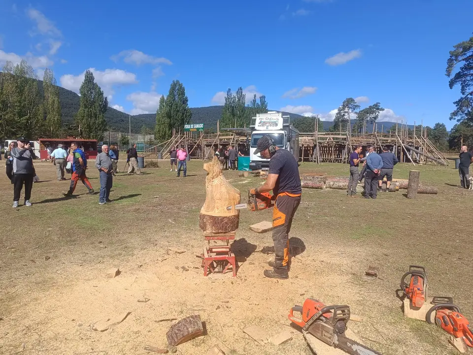 FERIA GANADERA VINUESA (14)