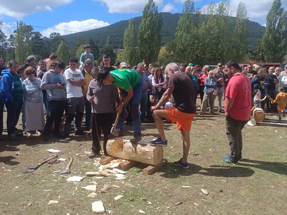 FERIA GANADERA VINUESA (15)