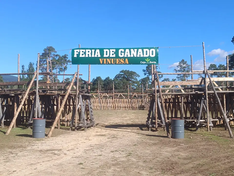 FERIA GANADERA VINUESA (17)