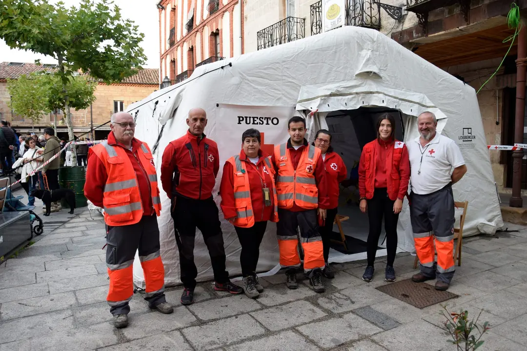 DEMANDASAURUS EN SALAS (2)