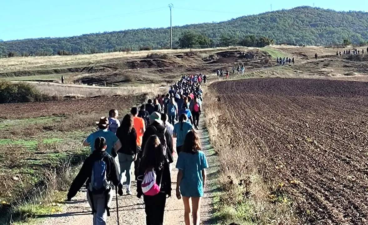 DEMANDASAURUS EN SALAS (4)