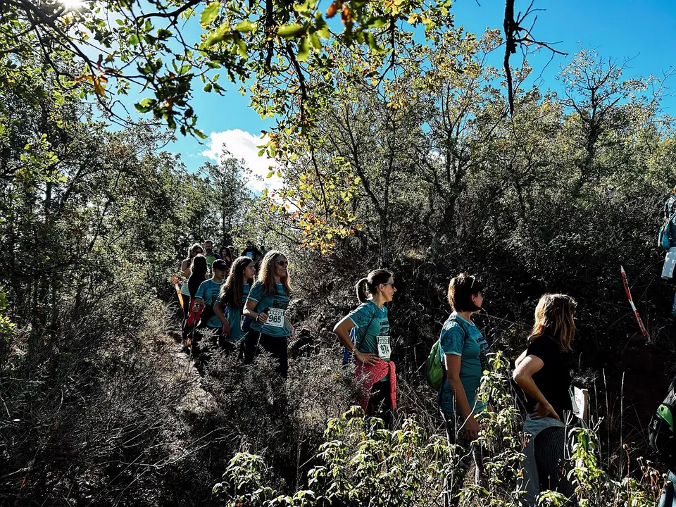 DEMANDASAURUS EN SALAS (7)