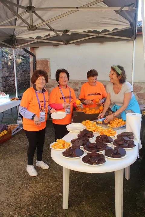 DEMANDASAURUS EN SALAS (19)