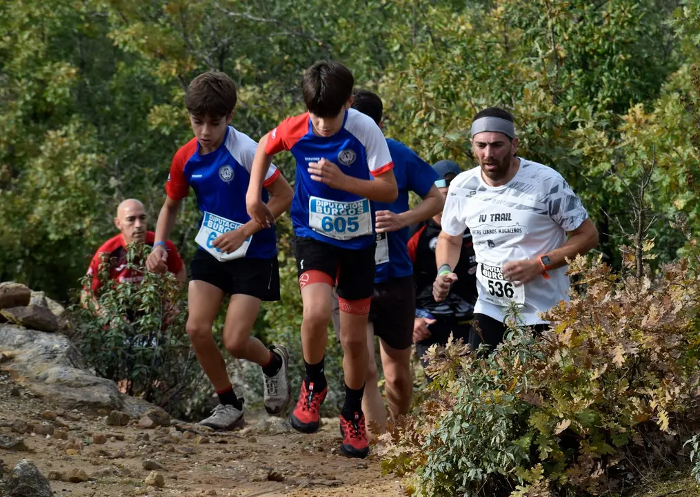 DEMANDASAURUS EN SALAS (26)