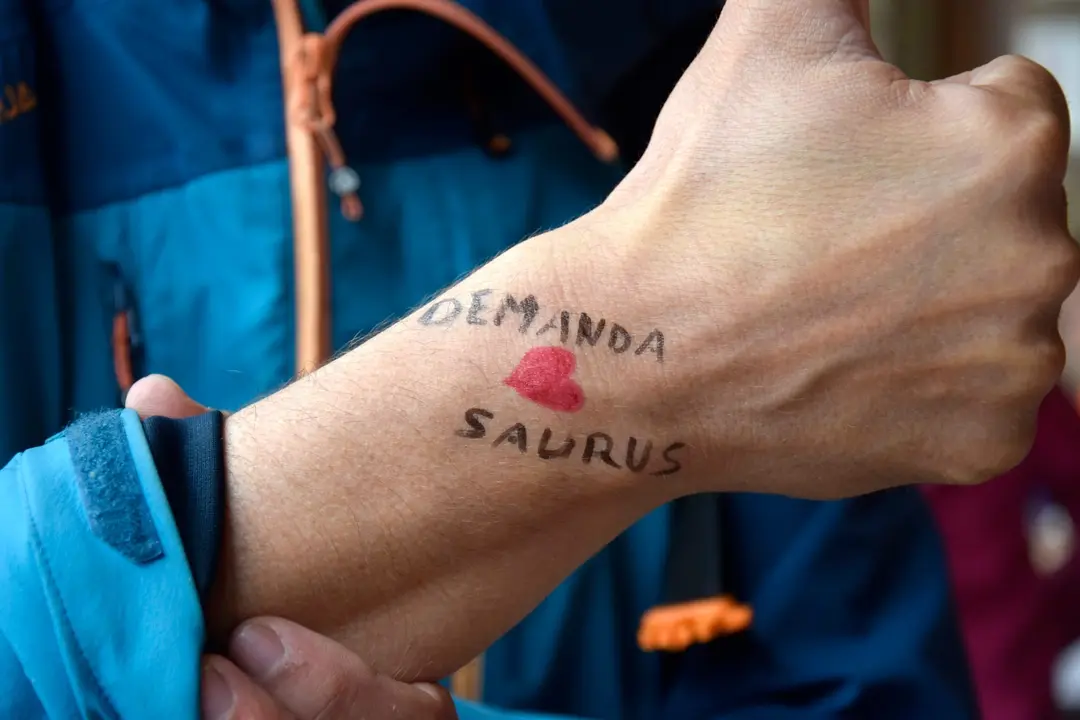 DEMANDASAURUS EN SALAS (30)