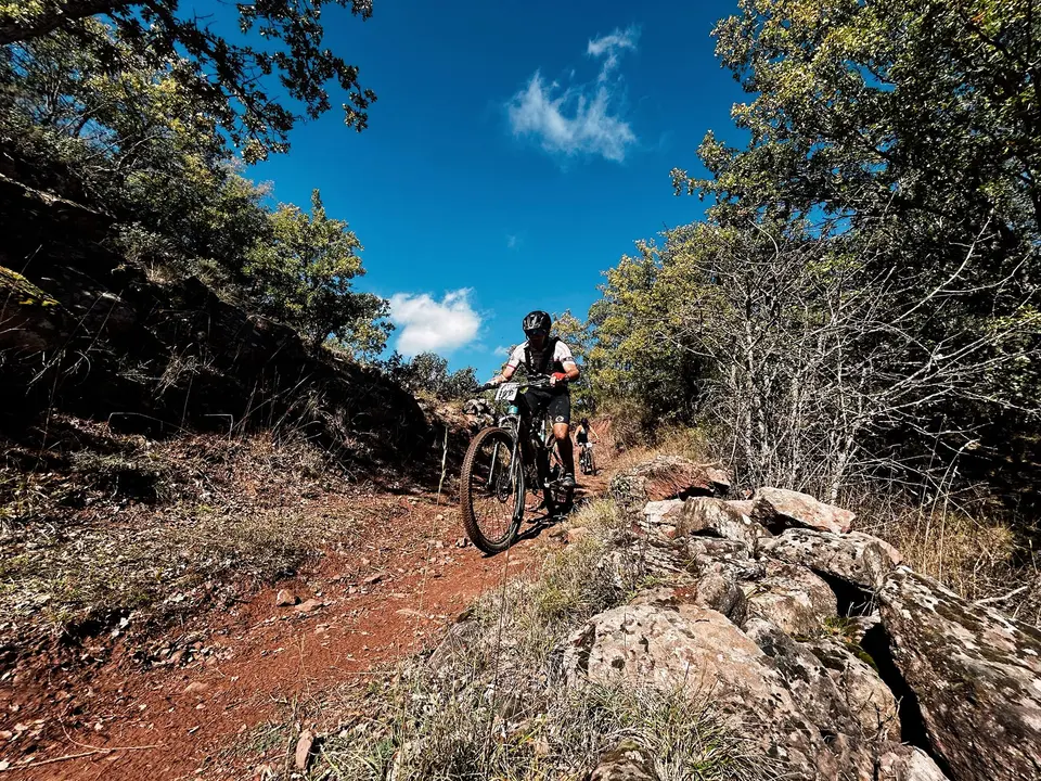 DEMANDASAURUS EN SALAS (32)