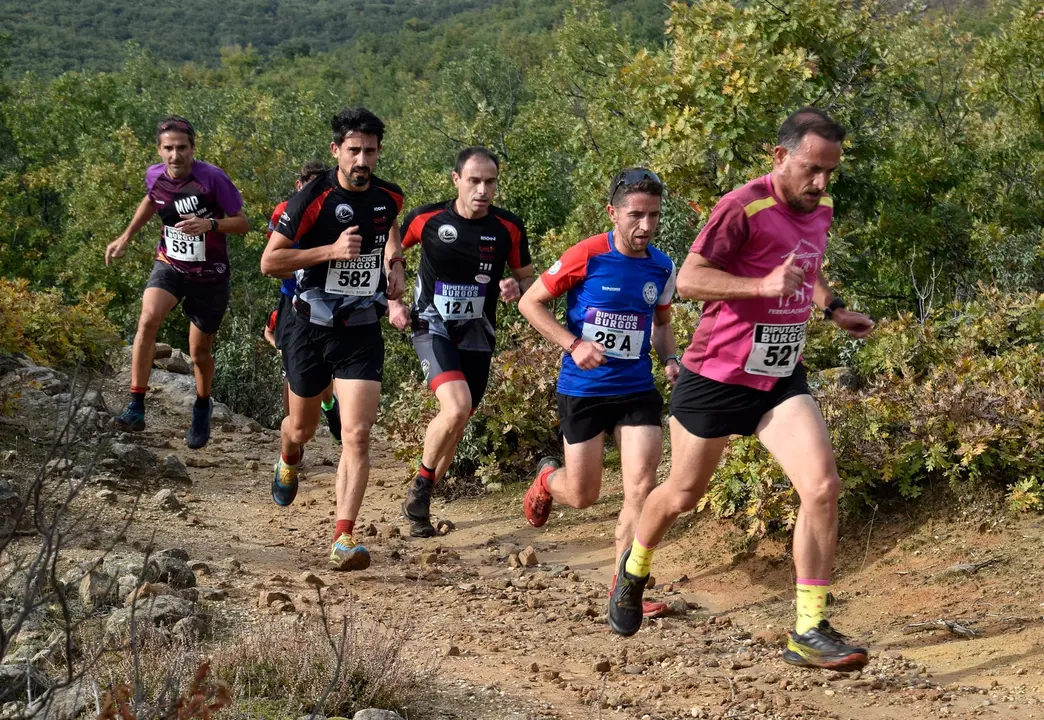 DEMANDASAURUS EN SALAS (45)