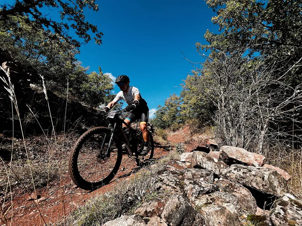 DEMANDASAURUS EN SALAS (46)