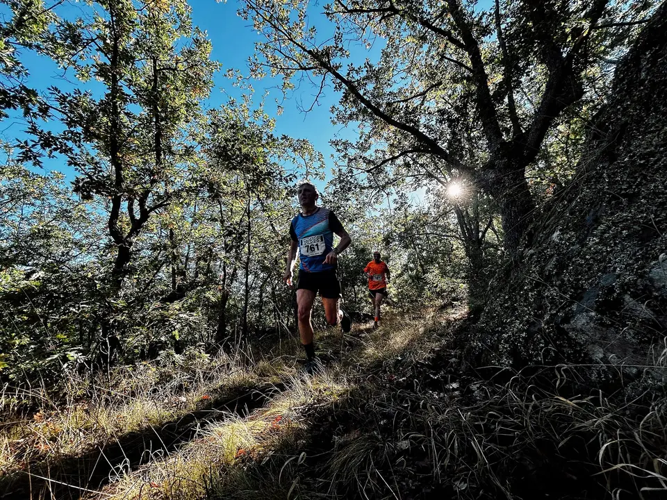 DEMANDASAURUS EN SALAS (47)