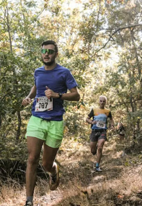 DEMANDASAURUS EN SALAS (52)