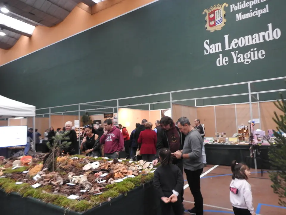 JORNADAS MICOLOGICAS SAN LEONARDO (1)