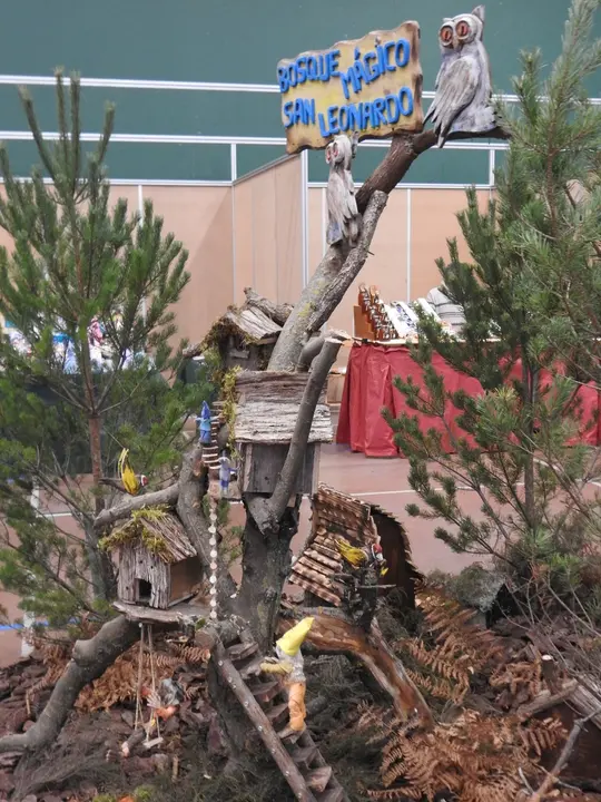 JORNADAS MICOLOGICAS SAN LEONARDO (2)