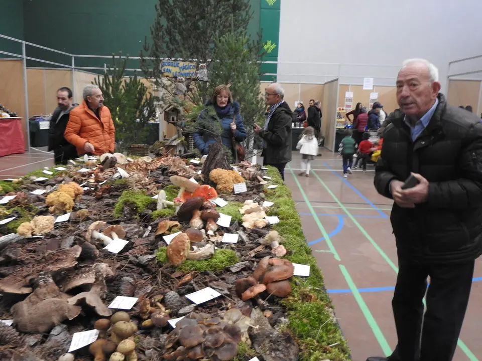 JORNADAS MICOLOGICAS SAN LEONARDO (9)