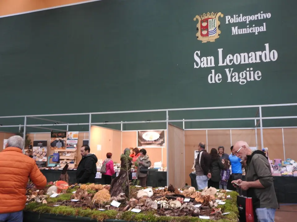 JORNADAS MICOLOGICAS SAN LEONARDO (10)