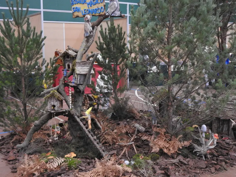 JORNADAS MICOLOGICAS SAN LEONARDO (11)