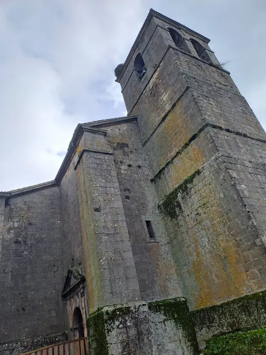 BANDA DE MÚSICA DE cOVALEDA (15)