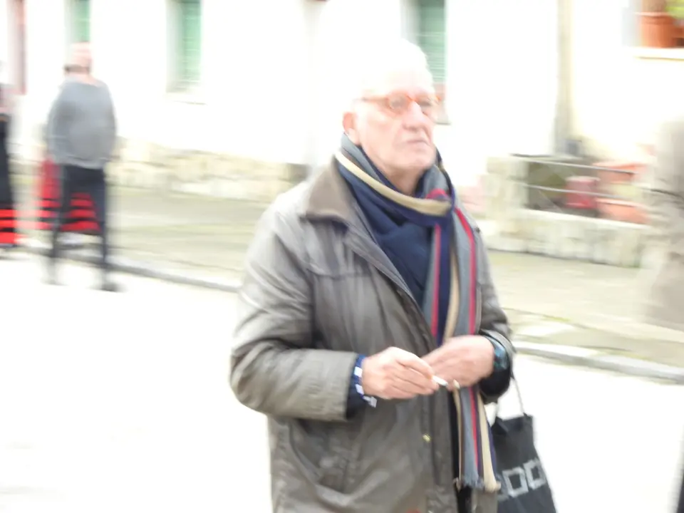 FIESTAS CASAREJOS (4)