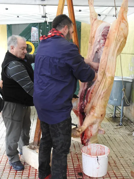 matanza en Navaleno (18)