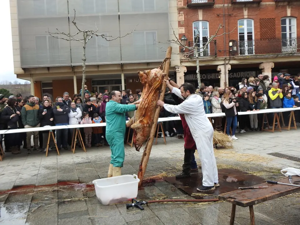 REMOJONERO EN SALAS (20)