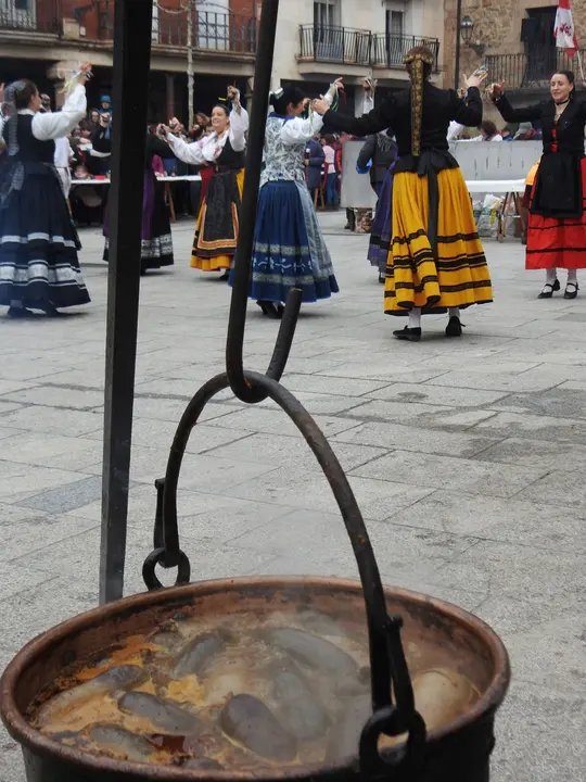 REMOJONERO EN SALAS (32)