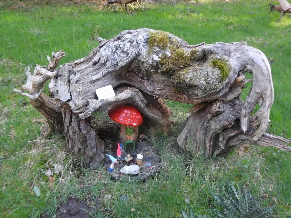 BOSQUE MÁGICO SAN LEONARDO (12)