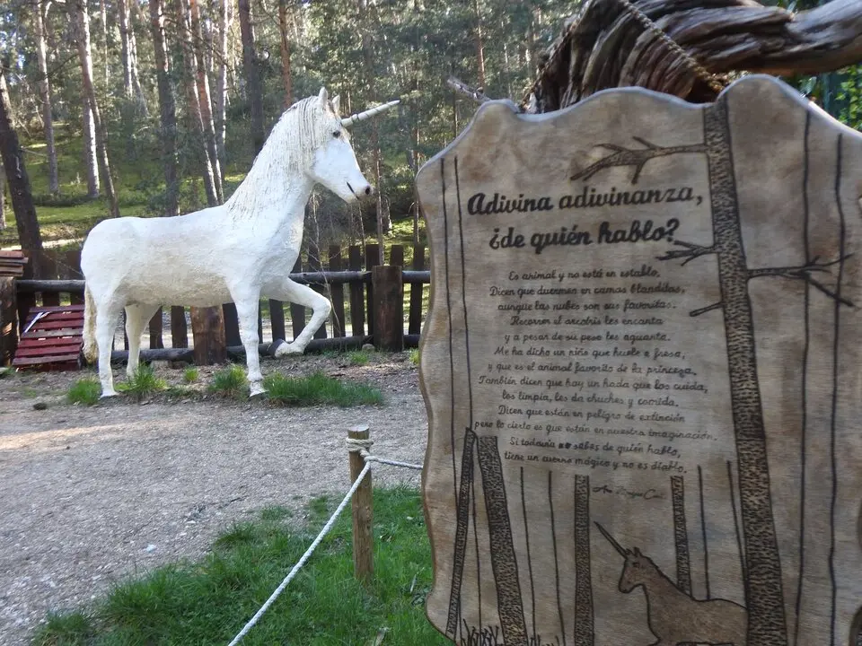 BOSQUE MÁGICO SAN LEONARDO (14)