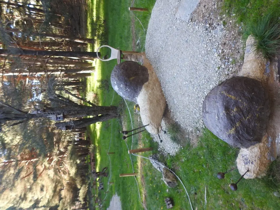 BOSQUE MÁGICO SAN LEONARDO (15)