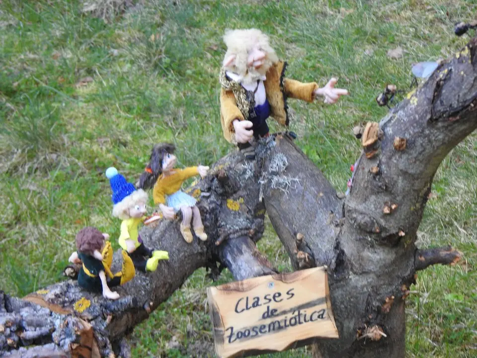 BOSQUE MÁGICO SAN LEONARDO (16)